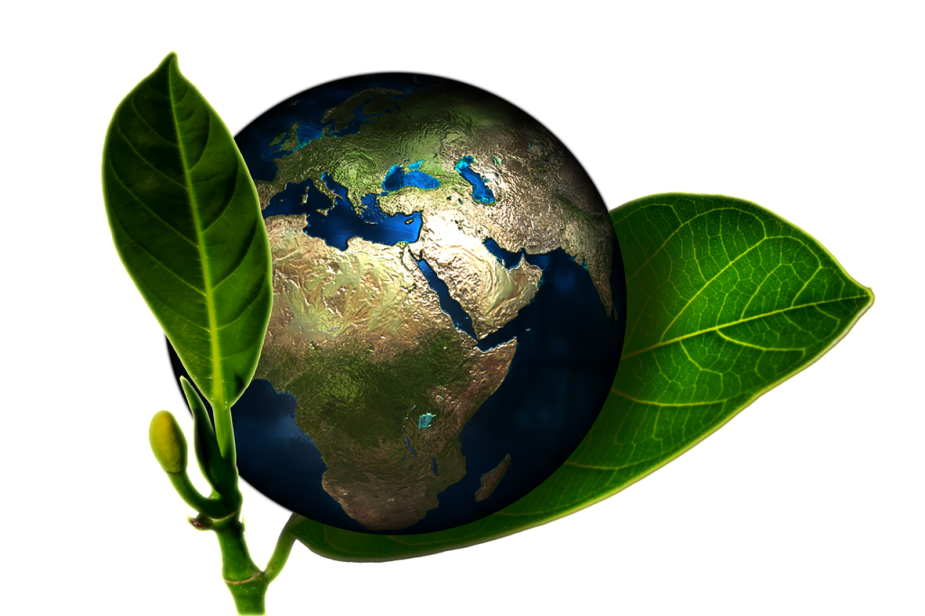 earth globe and green leaves