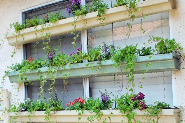 one of the rain gutter ideas is use it as a pot of small plants