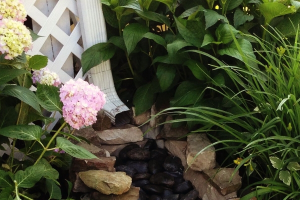 rain gutter with flowers and plants