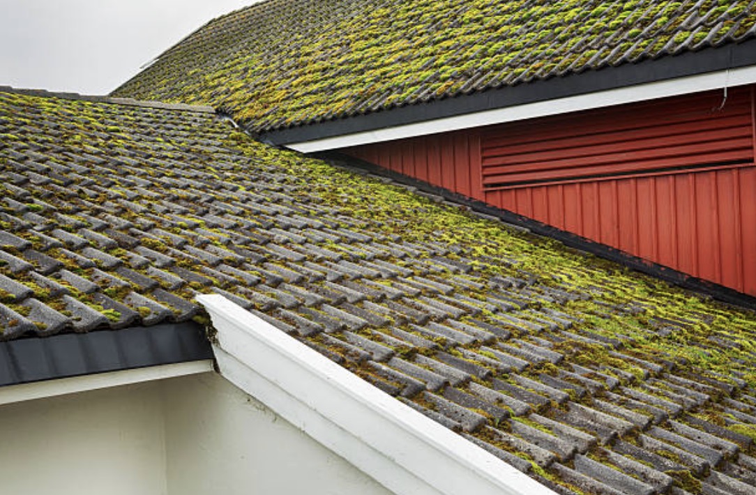 checking moss on the roof is one of the residential roof inspection checklist