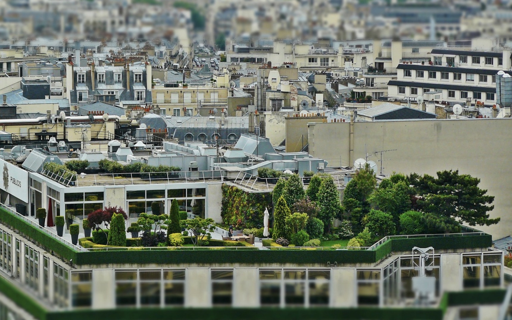 green roofs with trees and plants