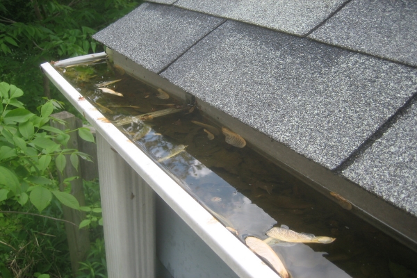 A dirty rain gutter system with leaves and muck