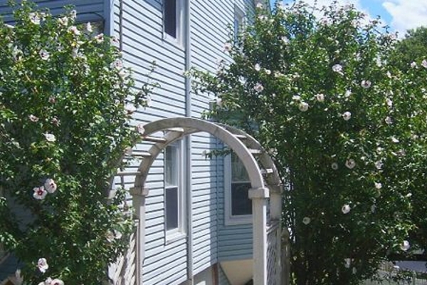 a gate-style trellis with a hidden downspout