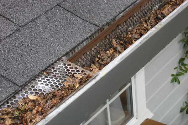 a mesh type gutter protector effectively doing its work