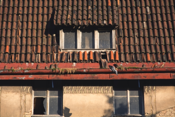 an aged clay tile roof in an abandoned home