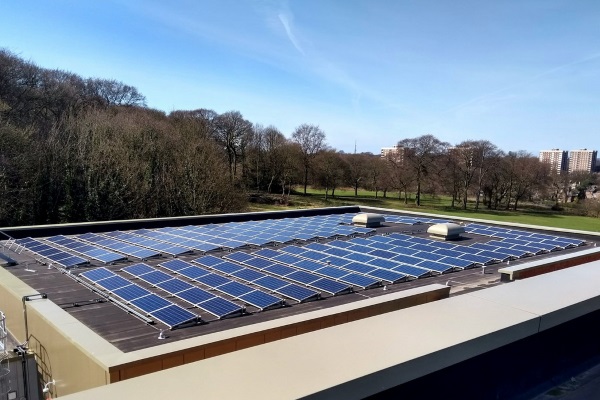 an array of solar panels on a flat roof